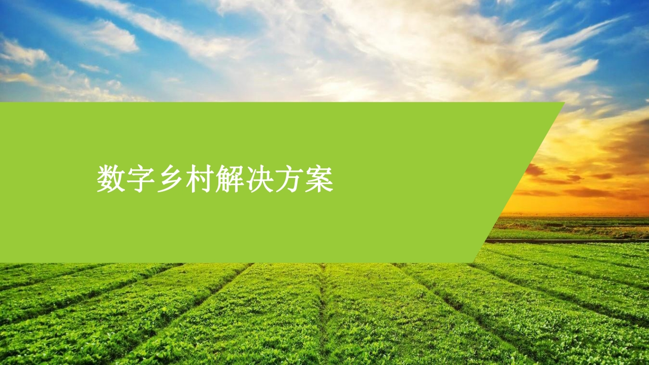优_数字乡村解决方案[50页PPT]